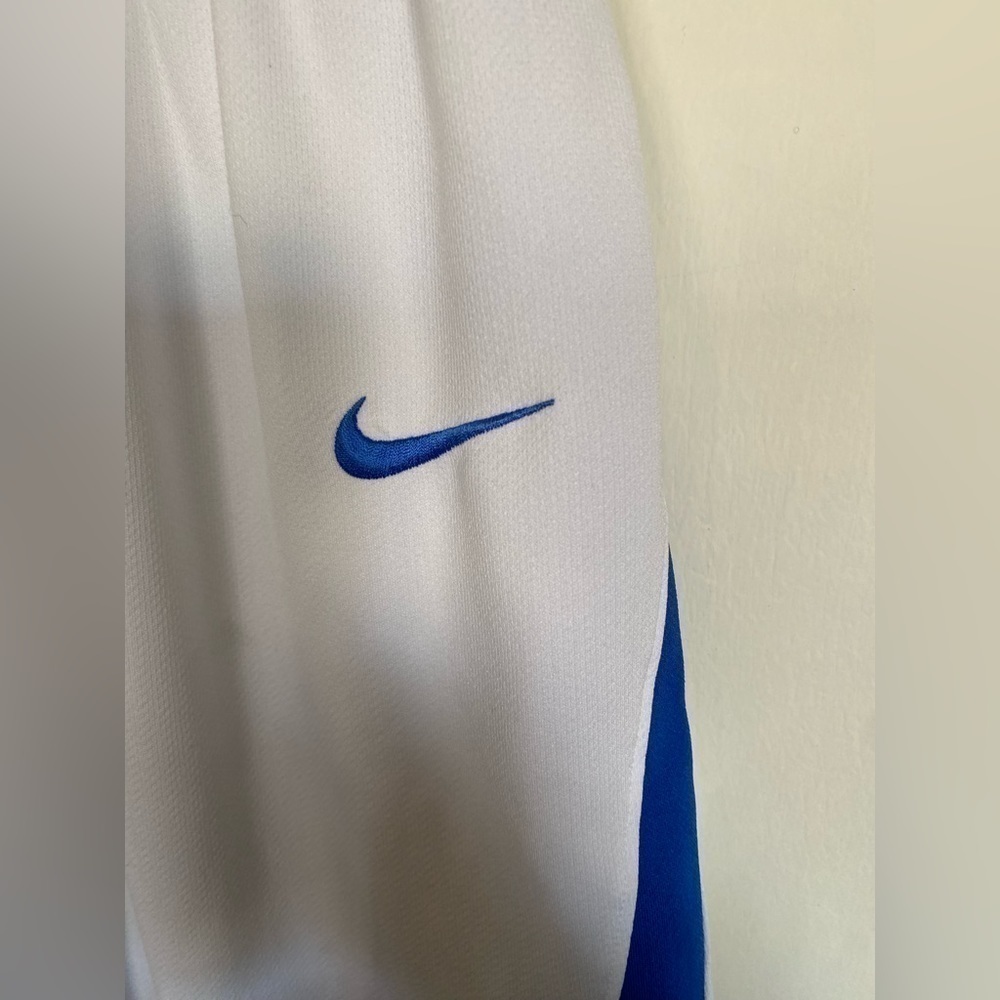 Men’s Nike size medium shorts